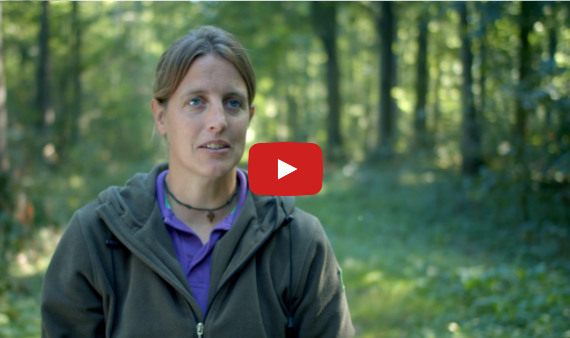 Videostill Noord-Holland versterkt, vergroot en verbindt natuurgebieden