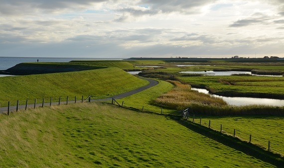 Landelijk gebied op Texel