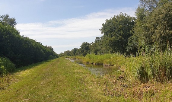 Kortenhoef Oost 