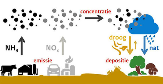  Uitleg van de werking en herkomst van de stikstofdepositie (stikstofneerslag)