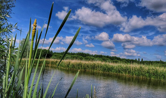 Sloot, gras en een blauwe lucht.