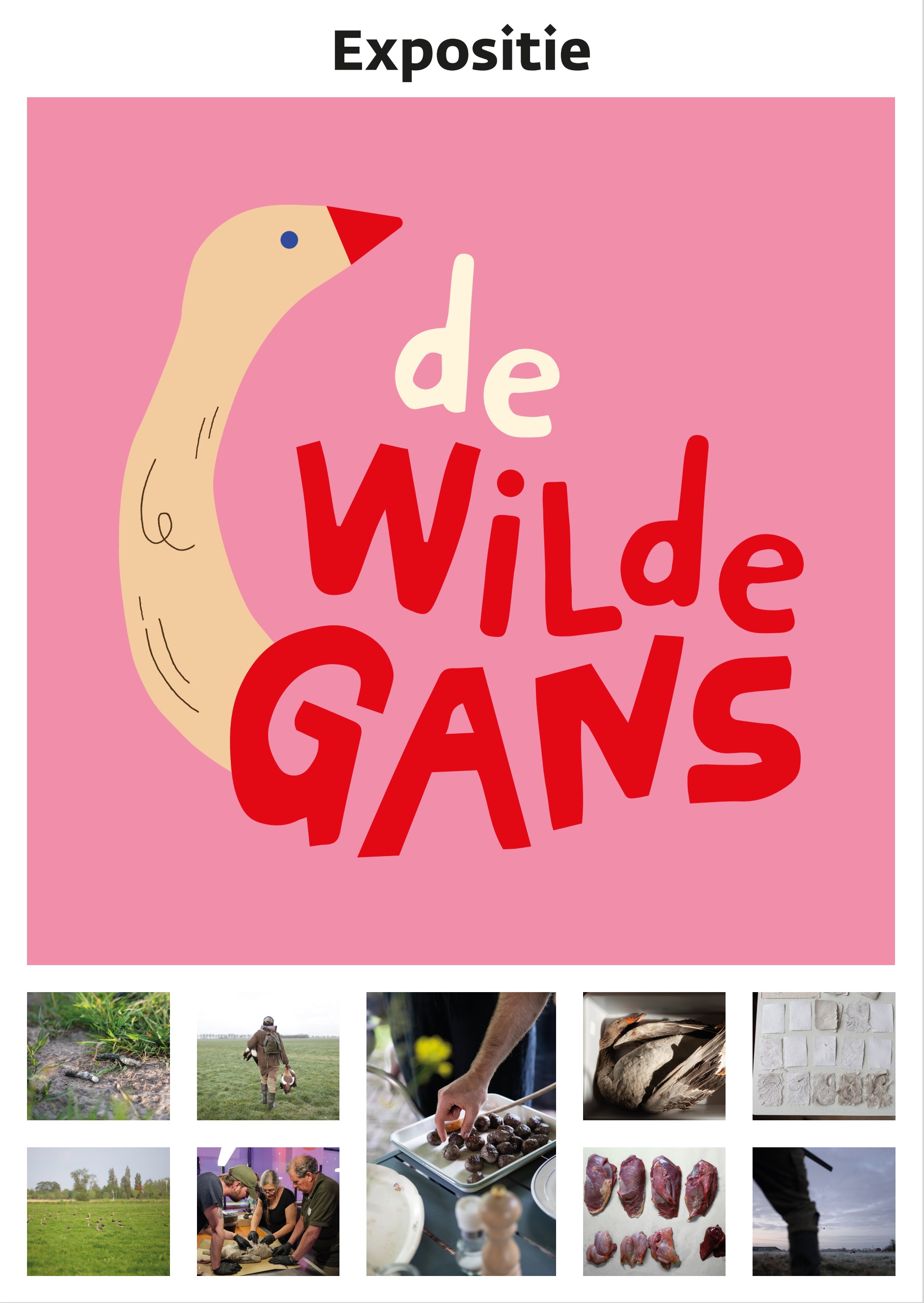 Poster expositie De wilde gans met titel 'De wilde gans' en daaronder kleine foto's van producten afkomstig van de gans